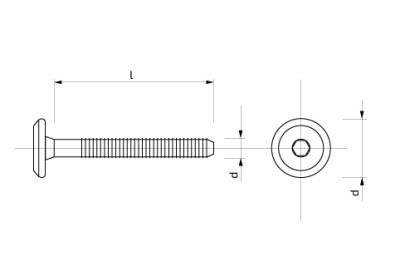 Šroub s plochou hlavou na imbus 17 mm 6x 80 mm Zn